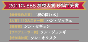 2011年 SBS 演技大賞 6部門受賞